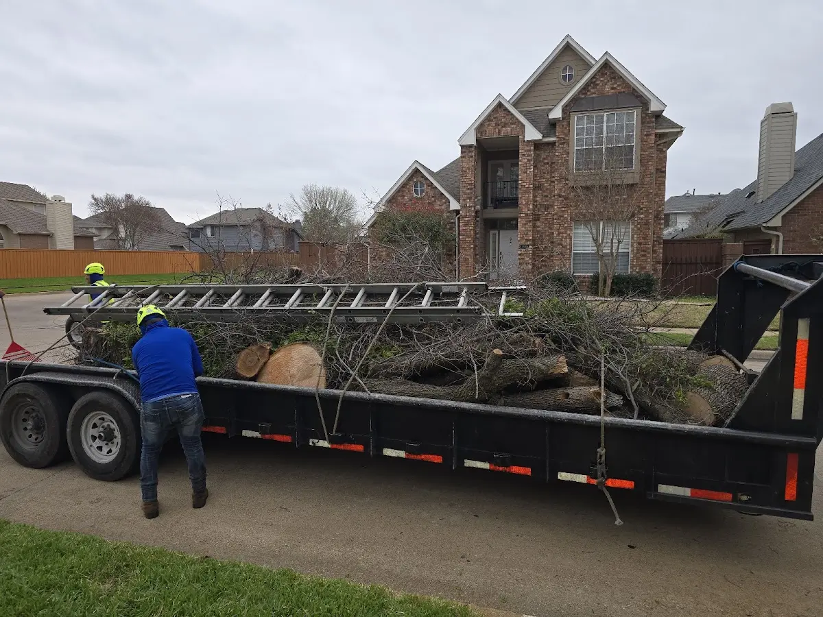 Expert Tree Removal with proper safety equipment in Cedar Lake